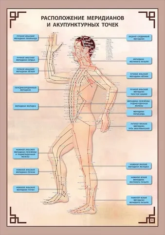 Исследование организма и выявление заболеваний в Иркутске - Кулинарные услуги в Иркутск