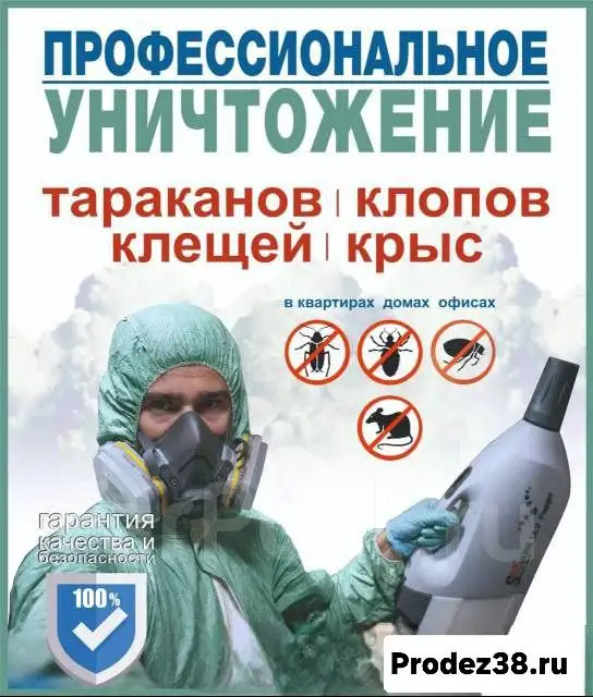 Уничтожение насекомых - Дезинсекция (Услуги) в Ангарск