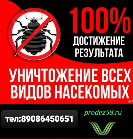 Уничтожение насекомых - Продажи в Ангарск