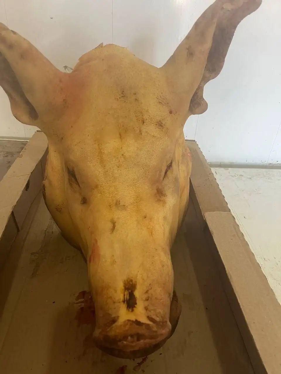 Свинина свежий утренний забой - Барахолка в Ангарск