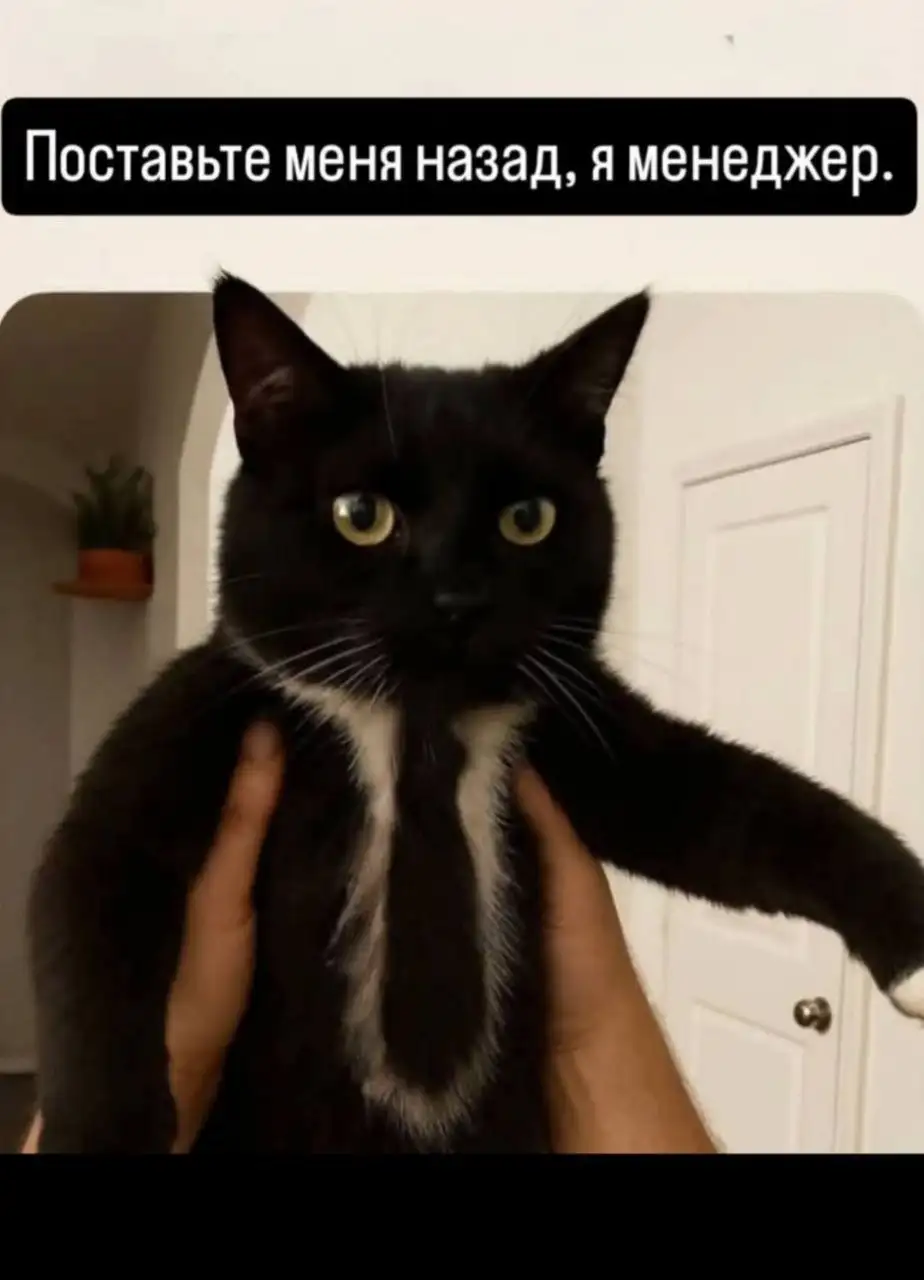 Помощник кадровика - Работа в Ангарск