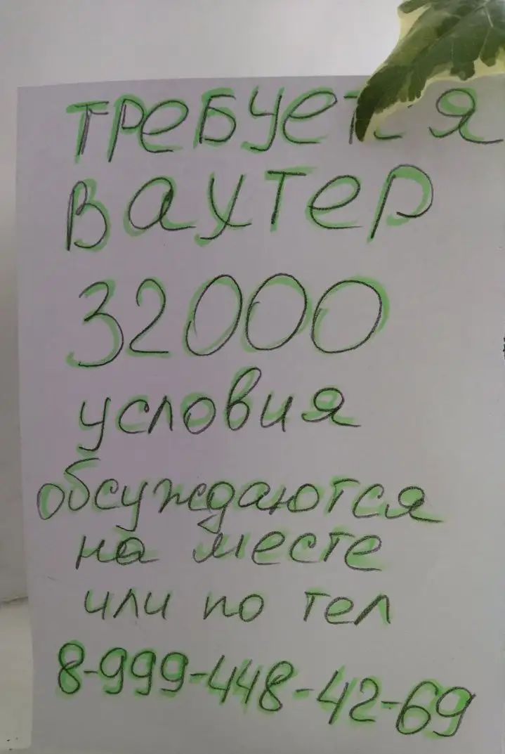Услуги по встрече посетителей и уходу за растениями в Иркутске - Услуги в Иркутск