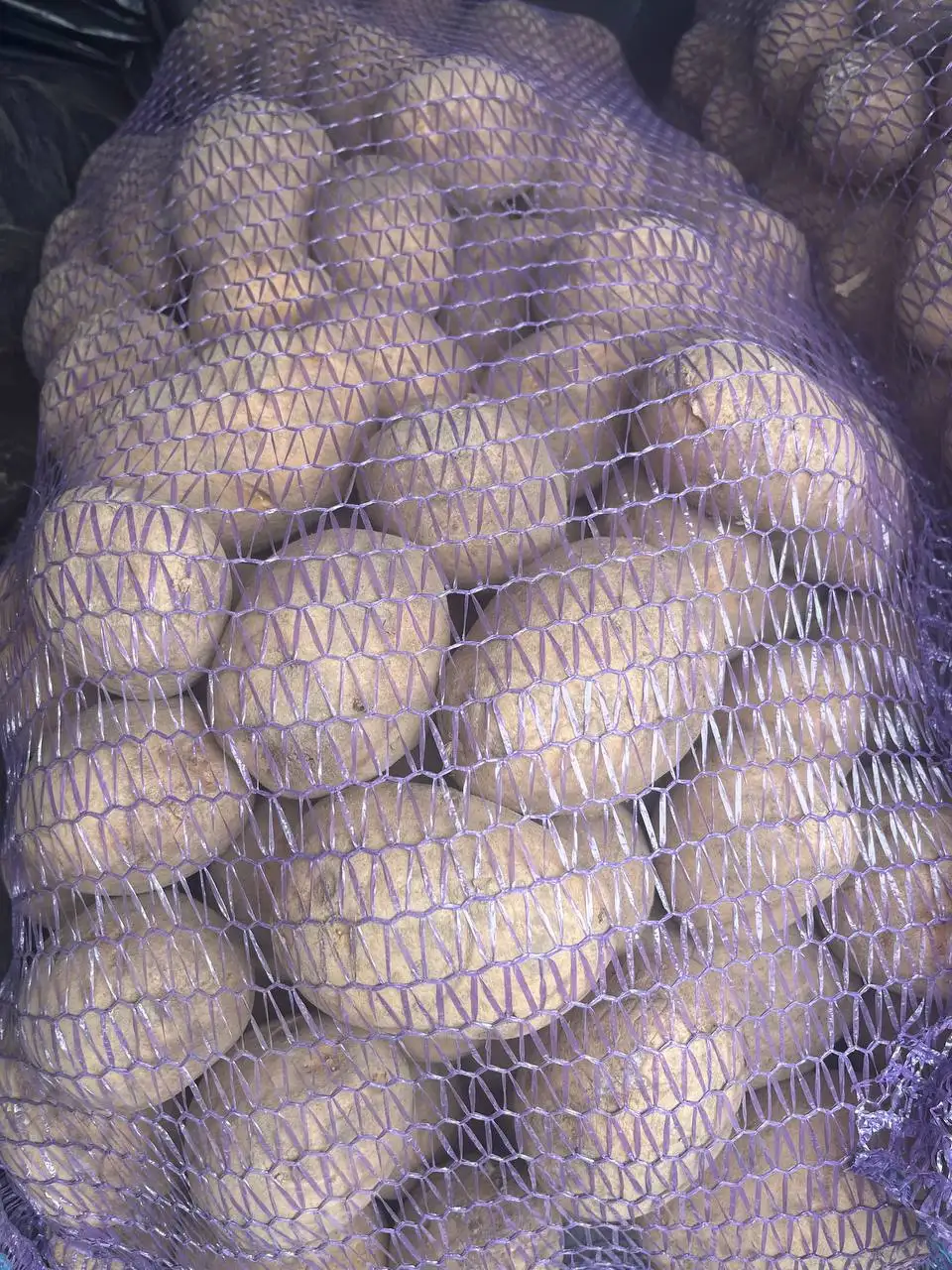 Продажа картофеля Гала крупного - Продукты питания (Барахолка) в Ангарск