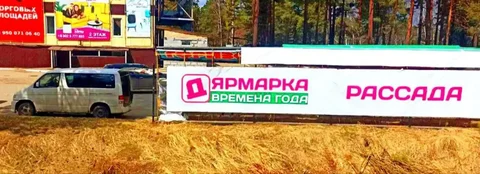 Рассада овощей и цветов в ассортименте - Творчество/Рукоделие в Ангарск