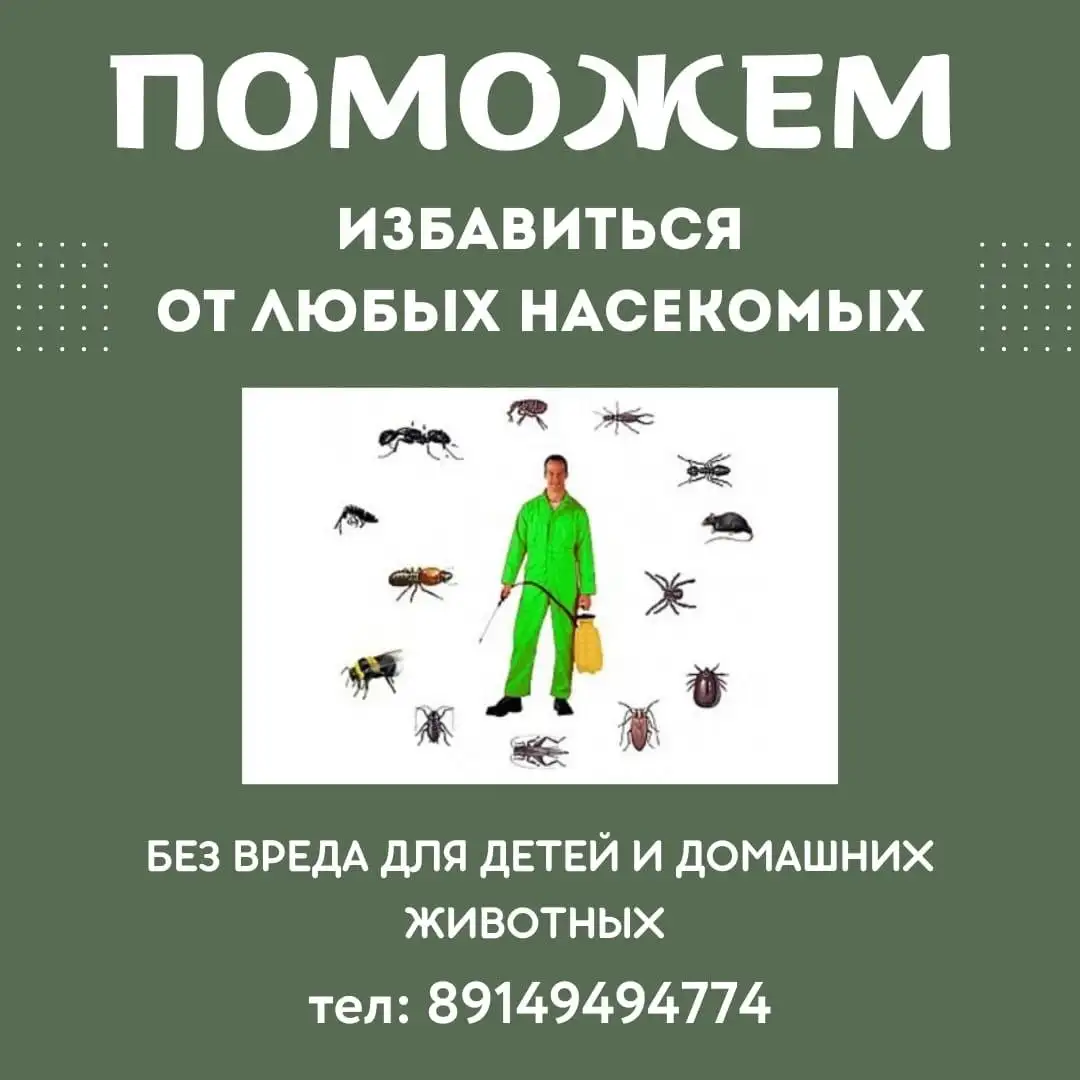 Услуги дезинсекции от насекомых - дезинсекция (Услуги) в Ангарск