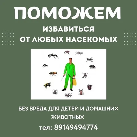 Услуги дезинсекции от насекомых - Организация праздников в Ангарск