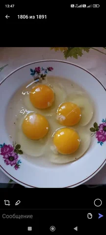 Яйцо куриное домашнее - Велосипеды в Ангарск