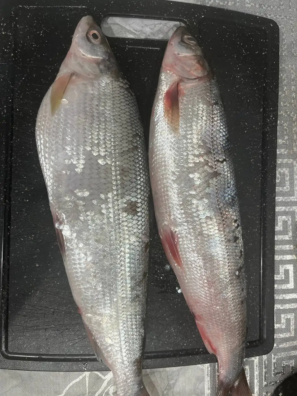 Свежая рыба с Байкала - Рыба (Еда) в Ангарск