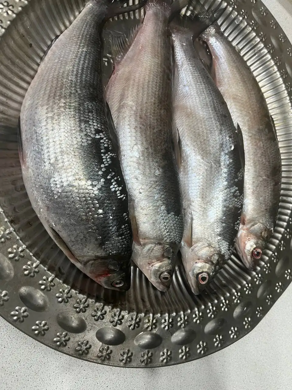 Свежая рыба с Байкала - Рыба (Еда) в Ангарск