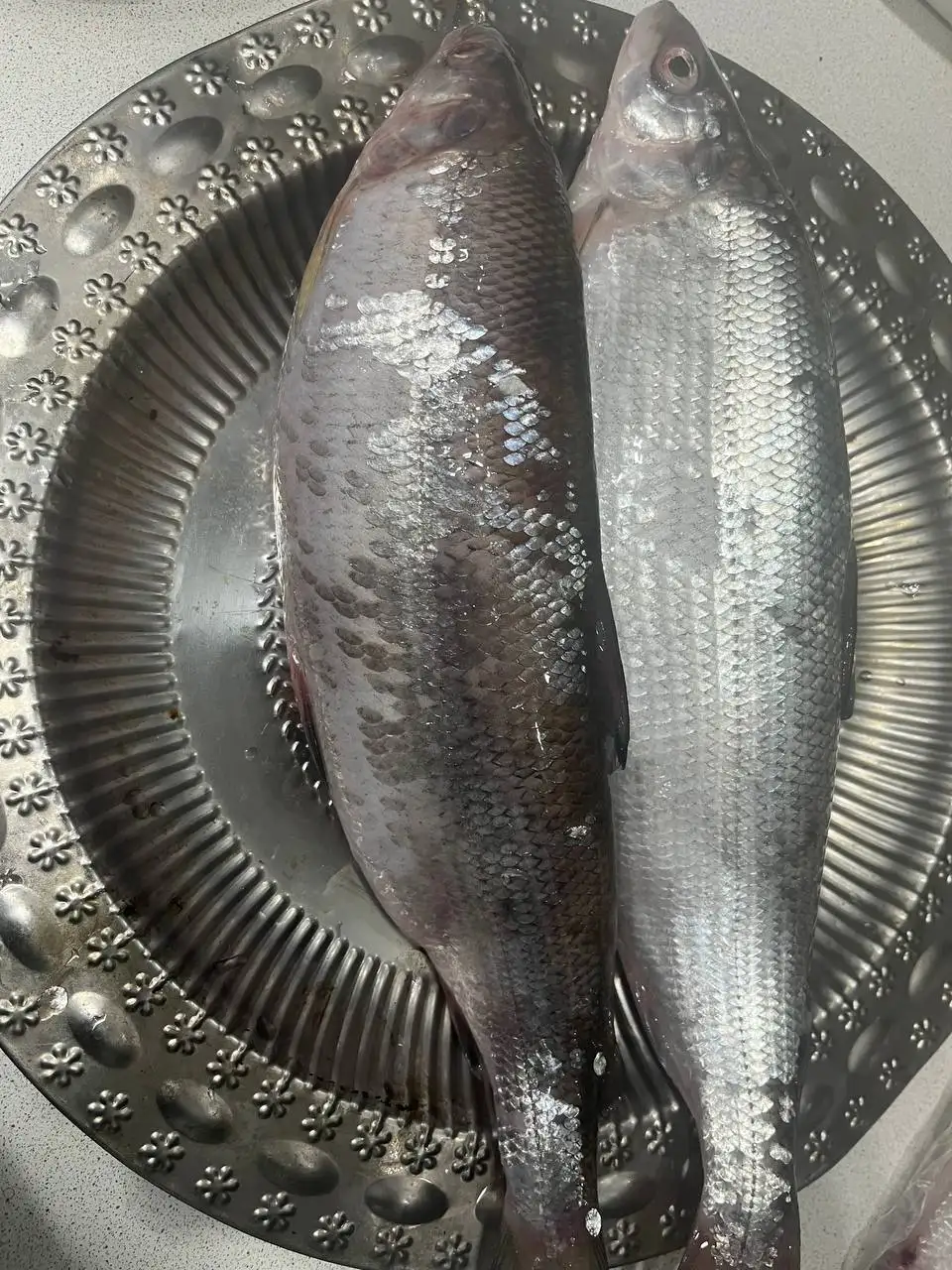 Свежая рыба с Байкала - Рыба (Еда) в Ангарск