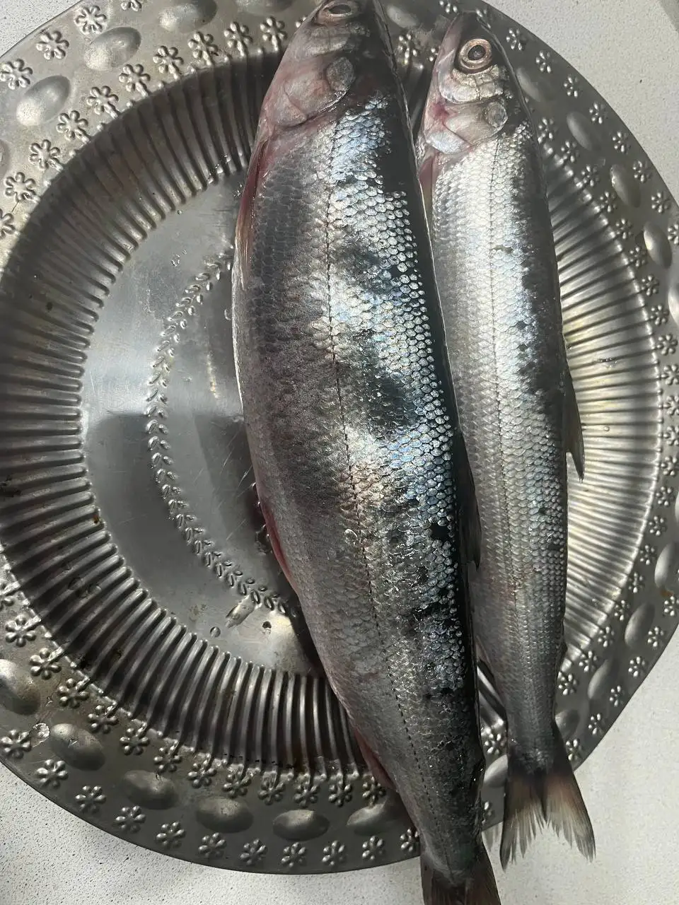 Свежая рыба с Байкала - Рыба (Еда) в Ангарск