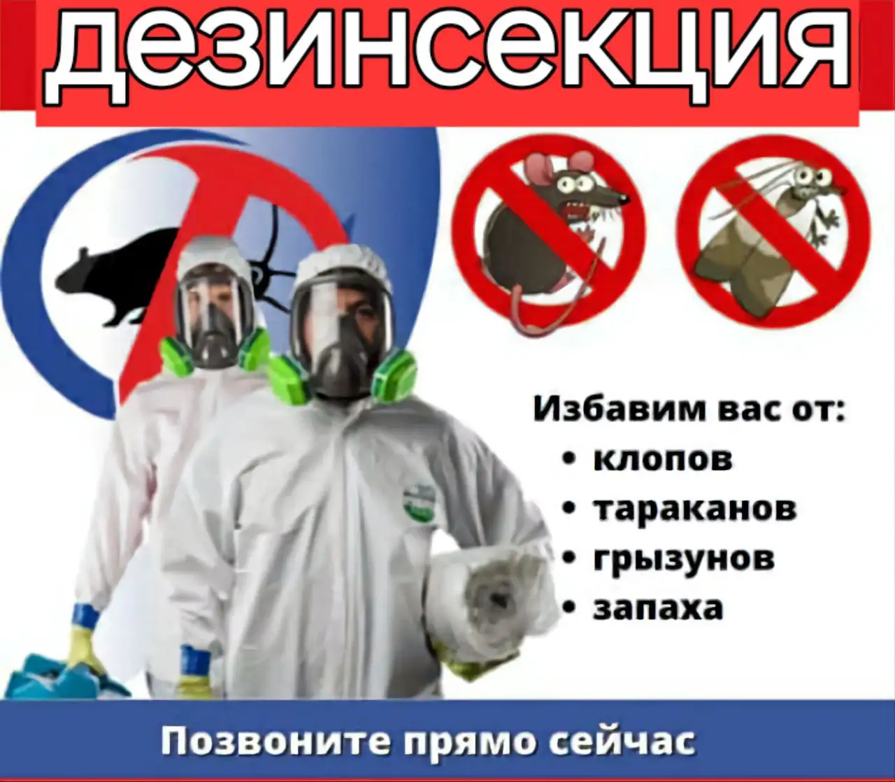 Уничтожение насекомых - Дератизация и дезинсекция (Услуги) в Ангарск