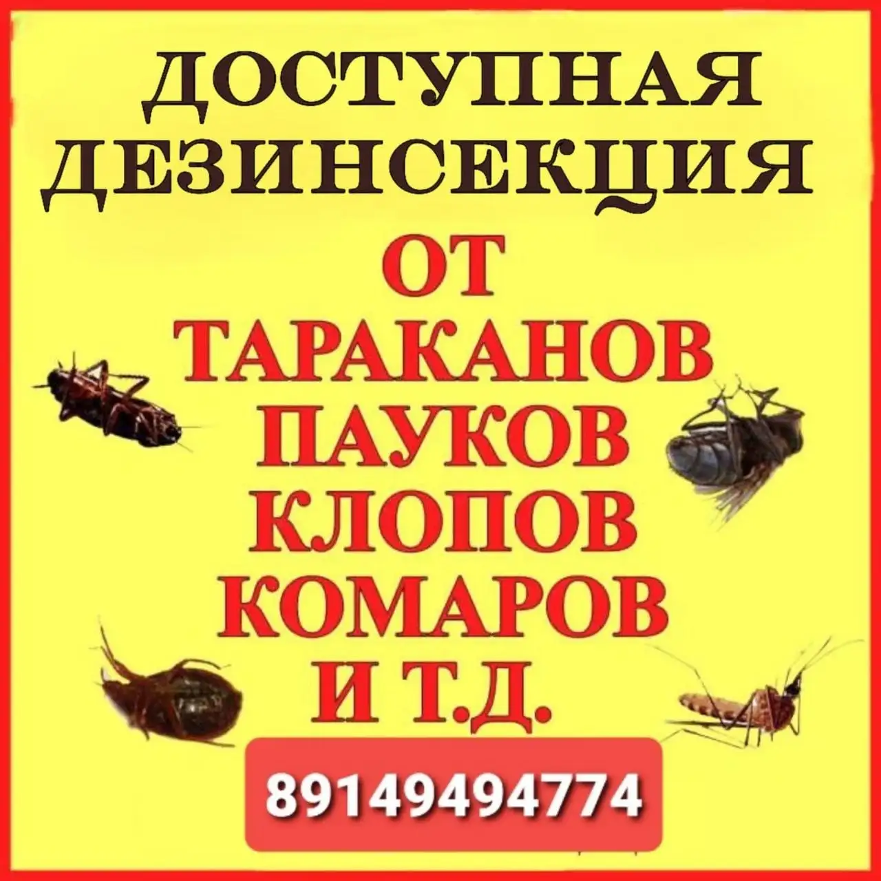 Услуги дезинсекции - Дезинсекция (Услуги) в Ангарск