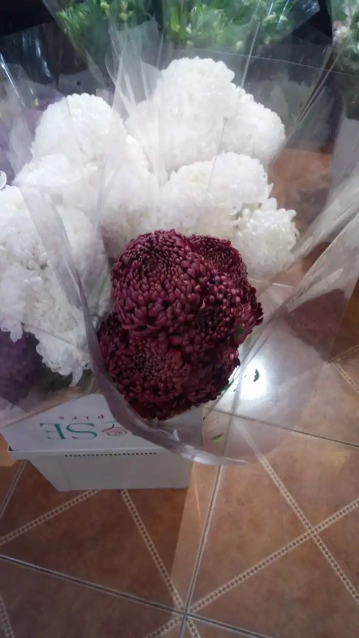 Продажа цветов: Хризантема, Альстромерия, Эвкалипт