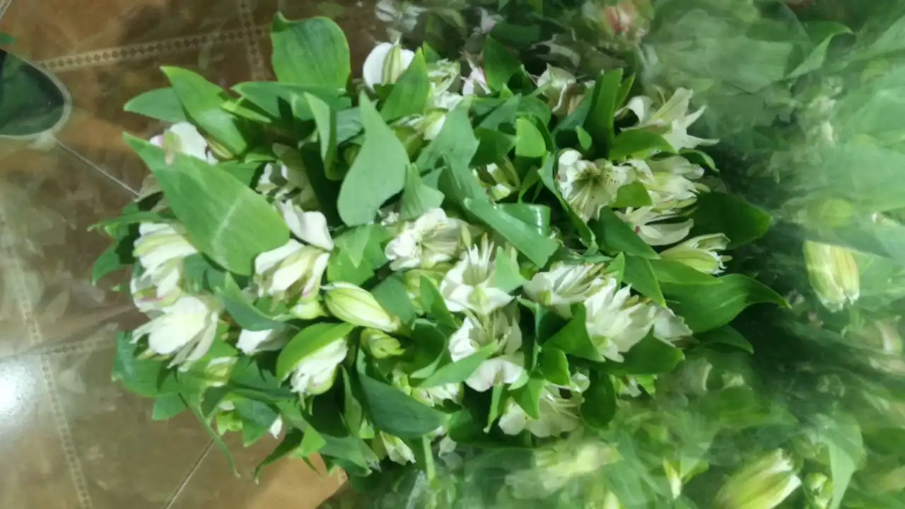 Продажа цветов: Хризантема, Альстромерия, Эвкалипт