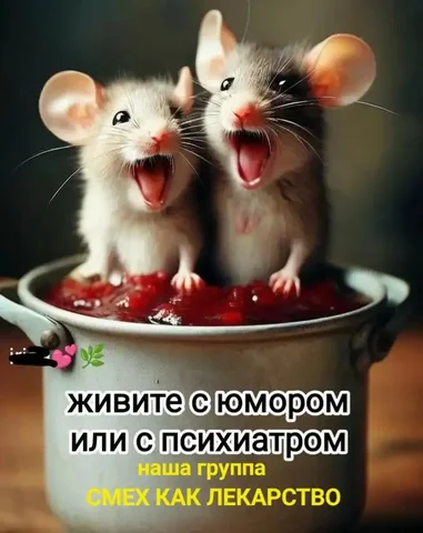 Продажа автомобиля Toyota Camry 2008 года - Авто в Саратов