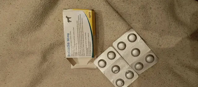 Продажа препарата Палладия тоцераниб для собак при онкологии - Животные в Саратов