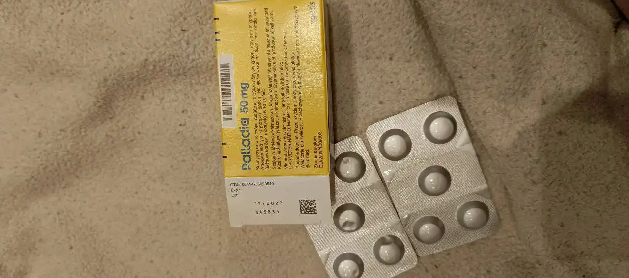 Продажа препарата Палладия тоцераниб для собак при онкологии