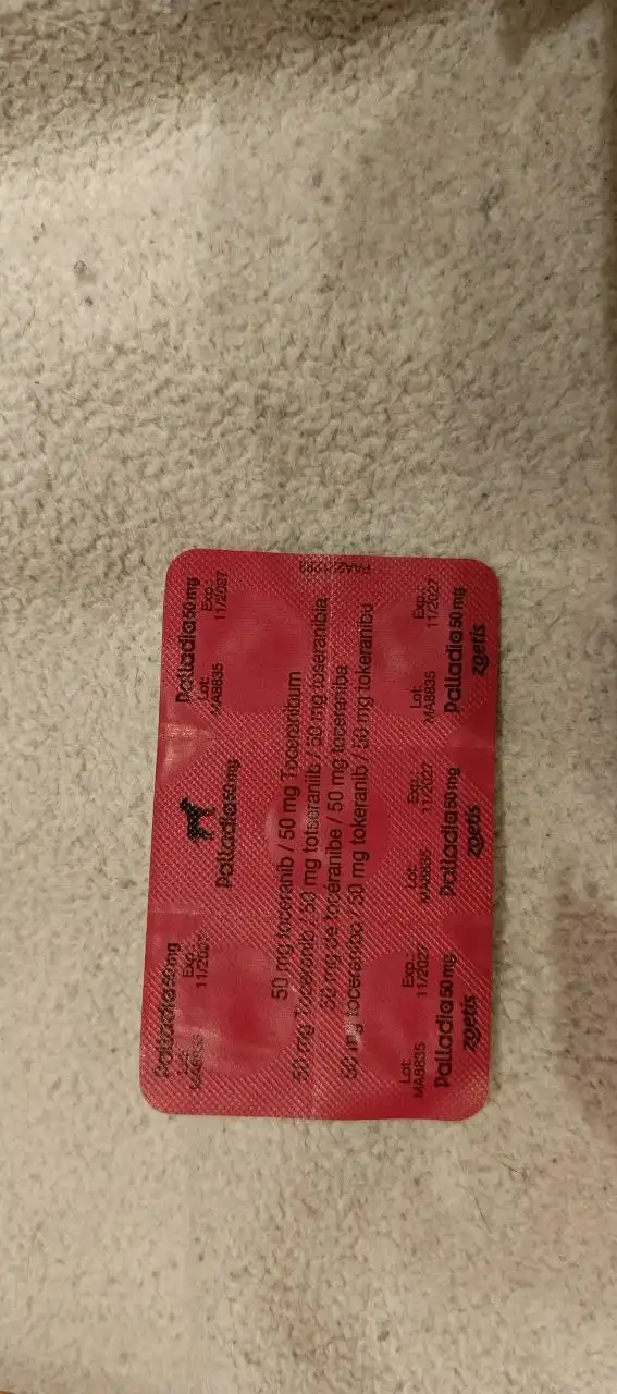 Продажа препарата Палладия тоцераниб для собак при онкологии