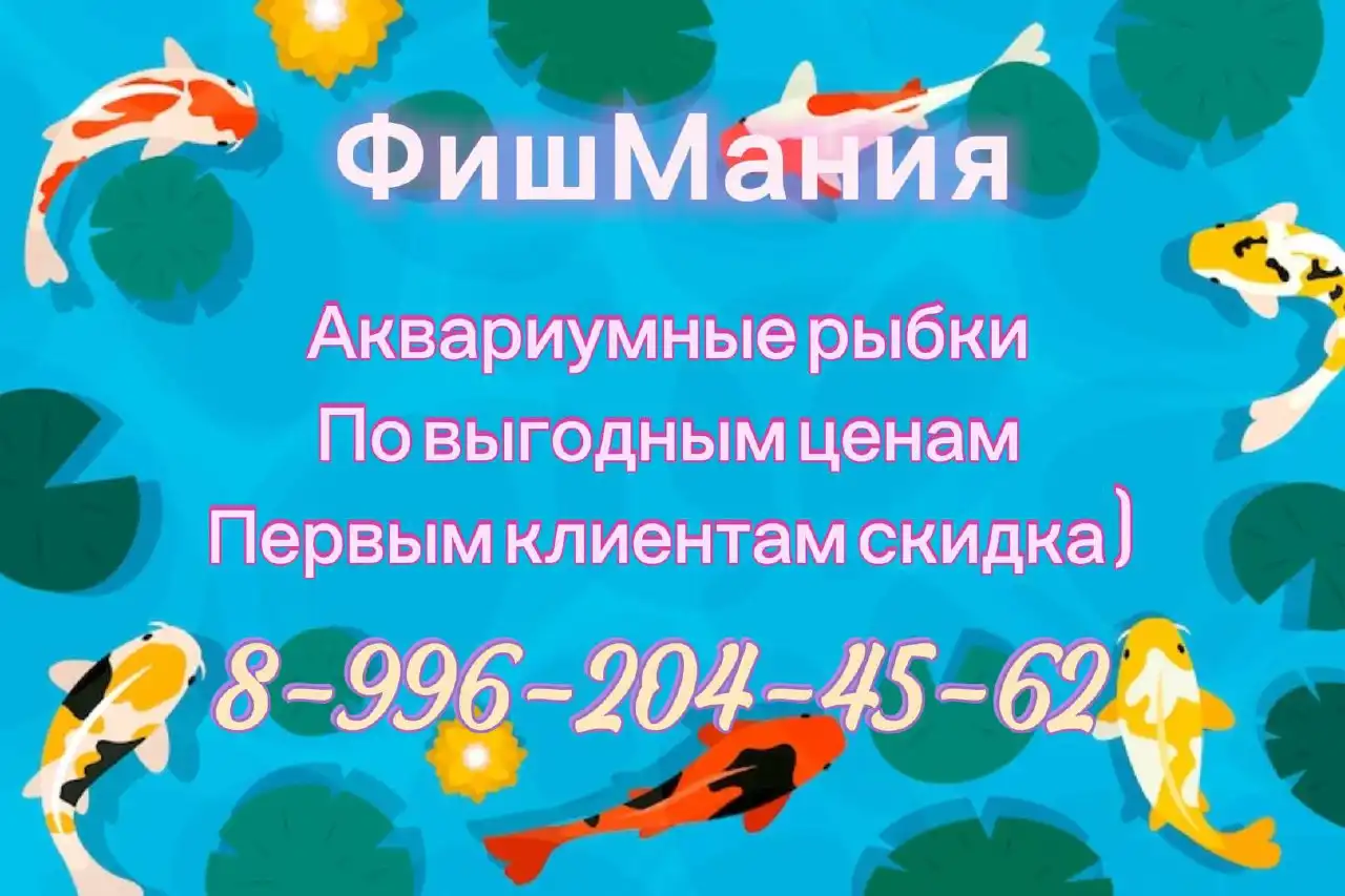 Объявление из группы Саратов-Энгельс - Барахолка в Саратов