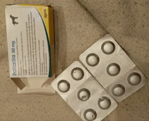 Палладия тоцераниб для собак при онкологии - Пропавшие животные в Саратов