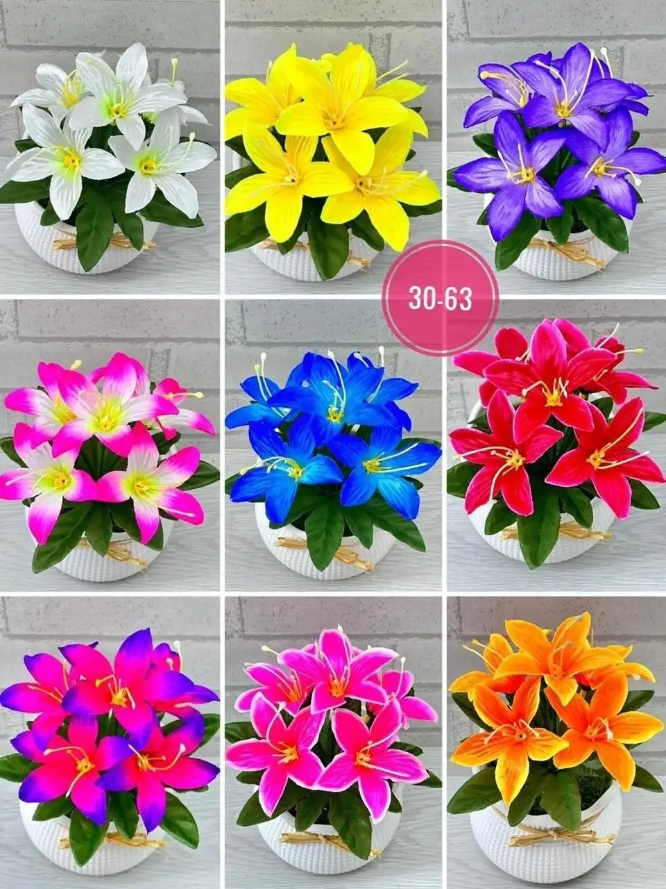 Продажа различных цветов в Саратове - Барахолка в Саратов