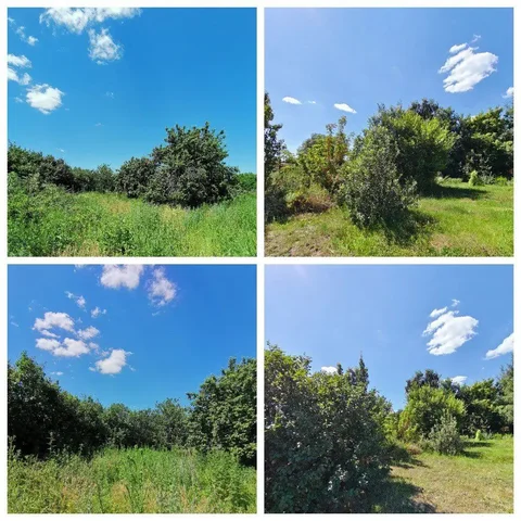 Участок ИЖС 10 соток в Ленинском - частное объявление в Ленинское (Энгельсский район)