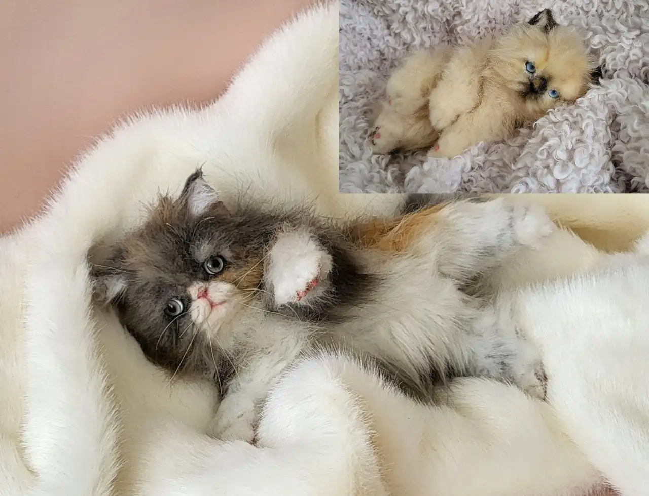 Котята из искусственного меха ручной работы - Сувениры (Хобби и отдых) в Саратов