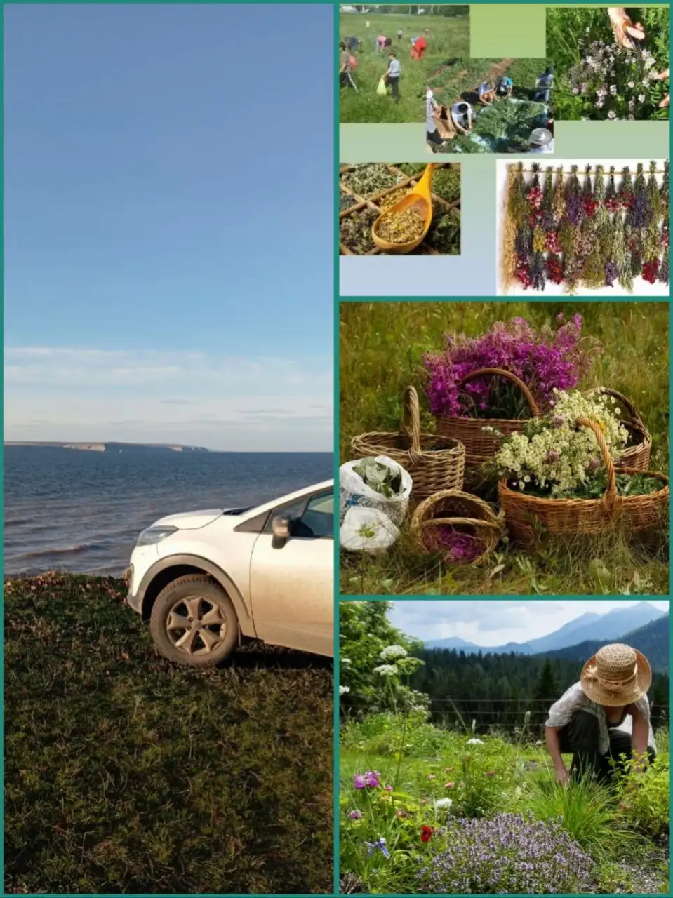 Поездки на тихую охоту за дарами природы - Экскурсии и туры (Услуги) в Саратов