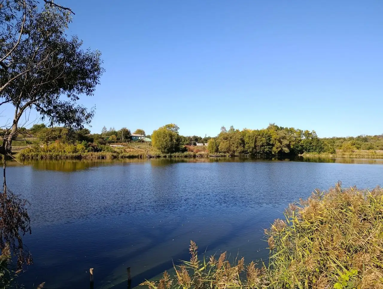 Продажа участка 11 соток возле пруда - Земельные участки (Недвижимость) в Белгород