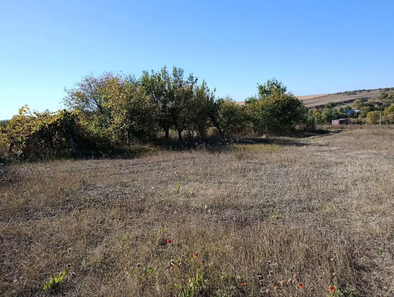 Продажа участка 11 соток возле пруда - Земельные участки (Недвижимость) в Белгород