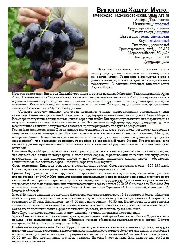 Саженцы винограда разных сортов - Саженцы (Для дома и дачи) в Пушкарное