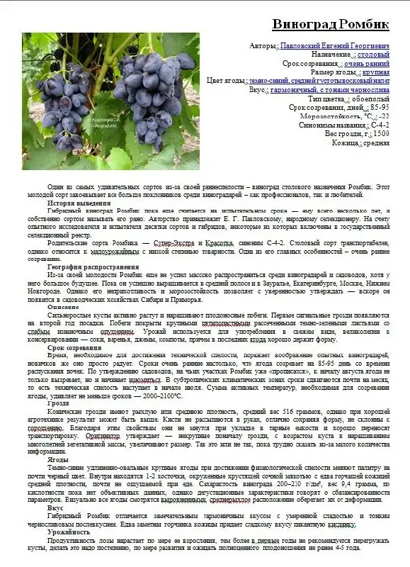 Саженцы винограда разных сортов - Саженцы (Для дома и дачи) в Пушкарное