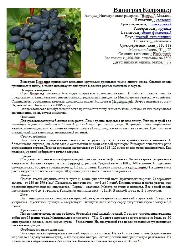Саженцы винограда разных сортов - Саженцы (Для дома и дачи) в Пушкарное