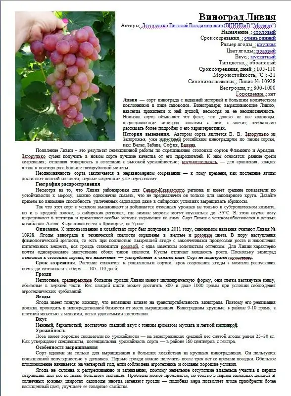 Саженцы винограда разных сортов - Саженцы (Для дома и дачи) в Пушкарное