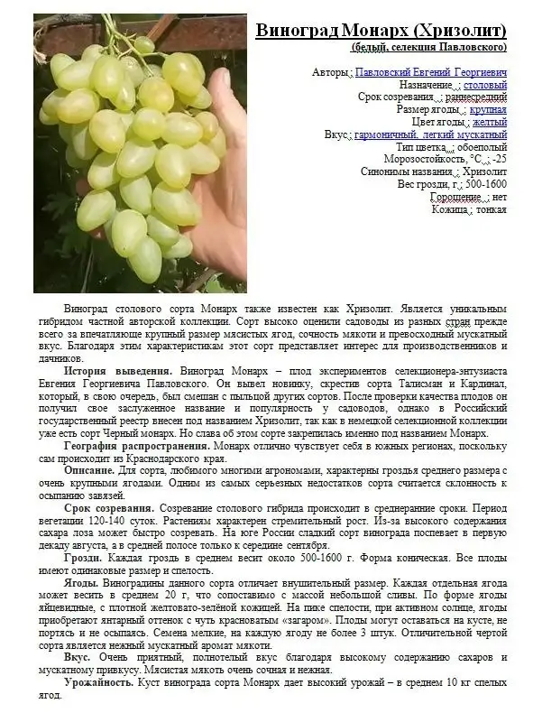 Саженцы столового винограда - Растения и садоводство (Хобби и отдых) в С.Пушкарное