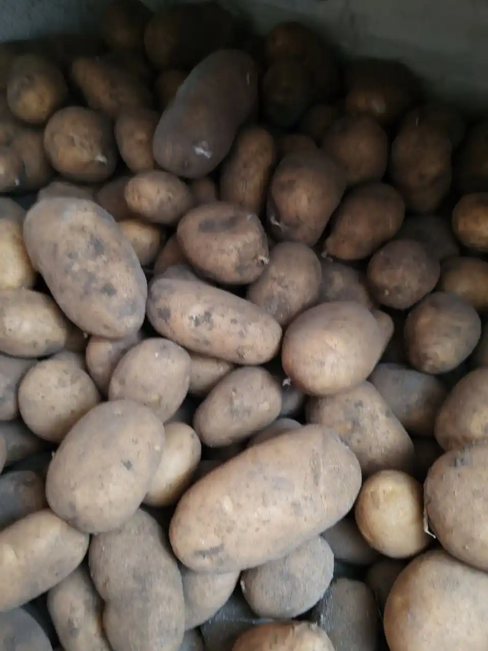 Продам излишки мяса и картофеля