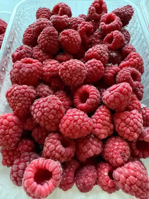 Малина шоковой заморозки - Для дома и дачи в Белгород