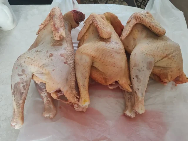 Продам излишки стригунов - Хобби и отдых в Белгород