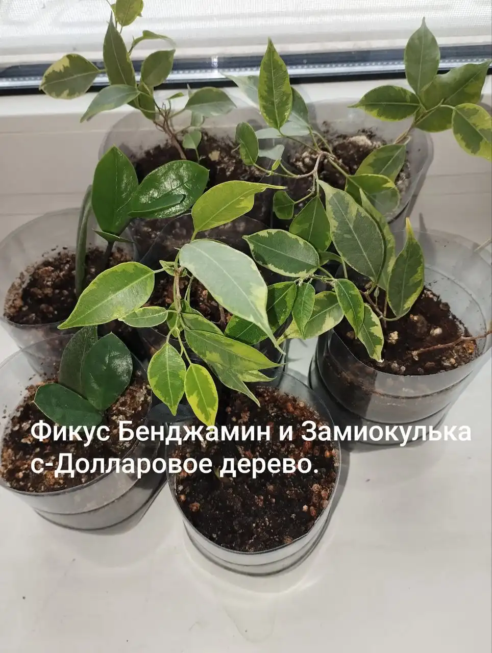 Майский Вопросы в личку