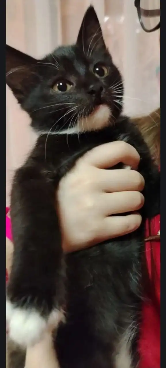 Сравнение схожих товаров