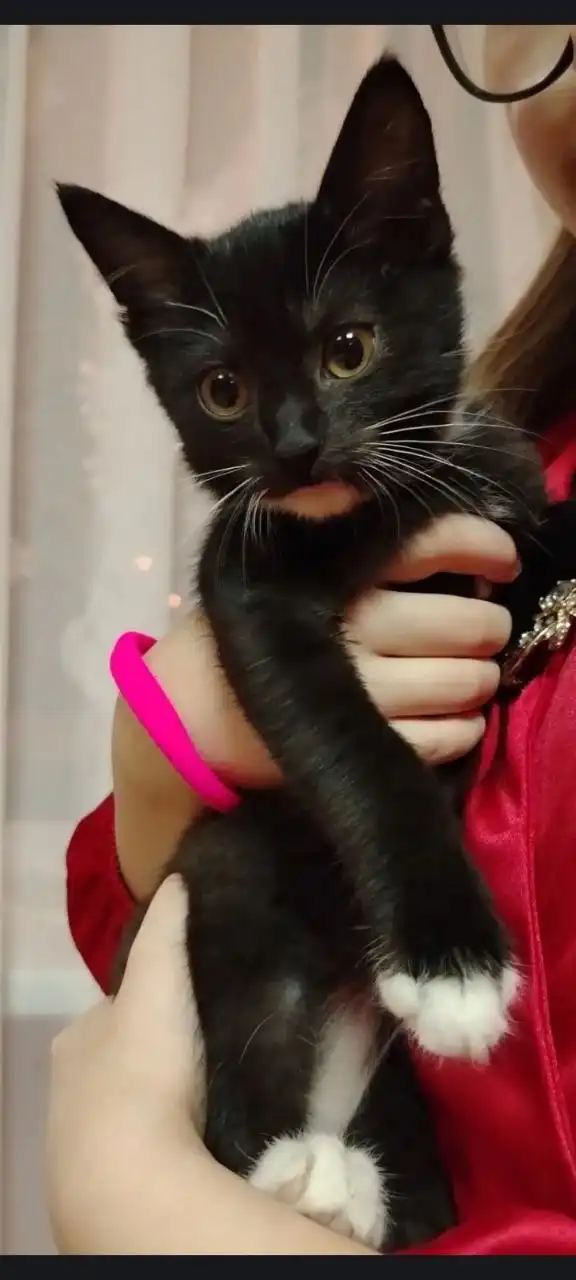 Сравнение схожих товаров