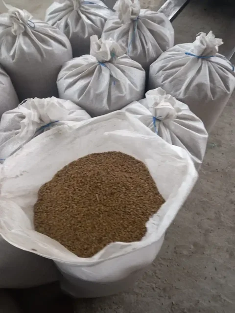 Кукуруза и пшеница в мешках - Продукты питания в С.Беловское