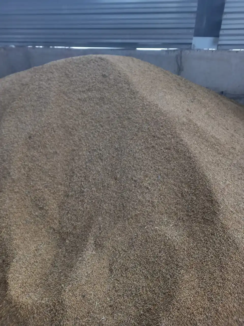 Кукуруза и пшеница в мешках