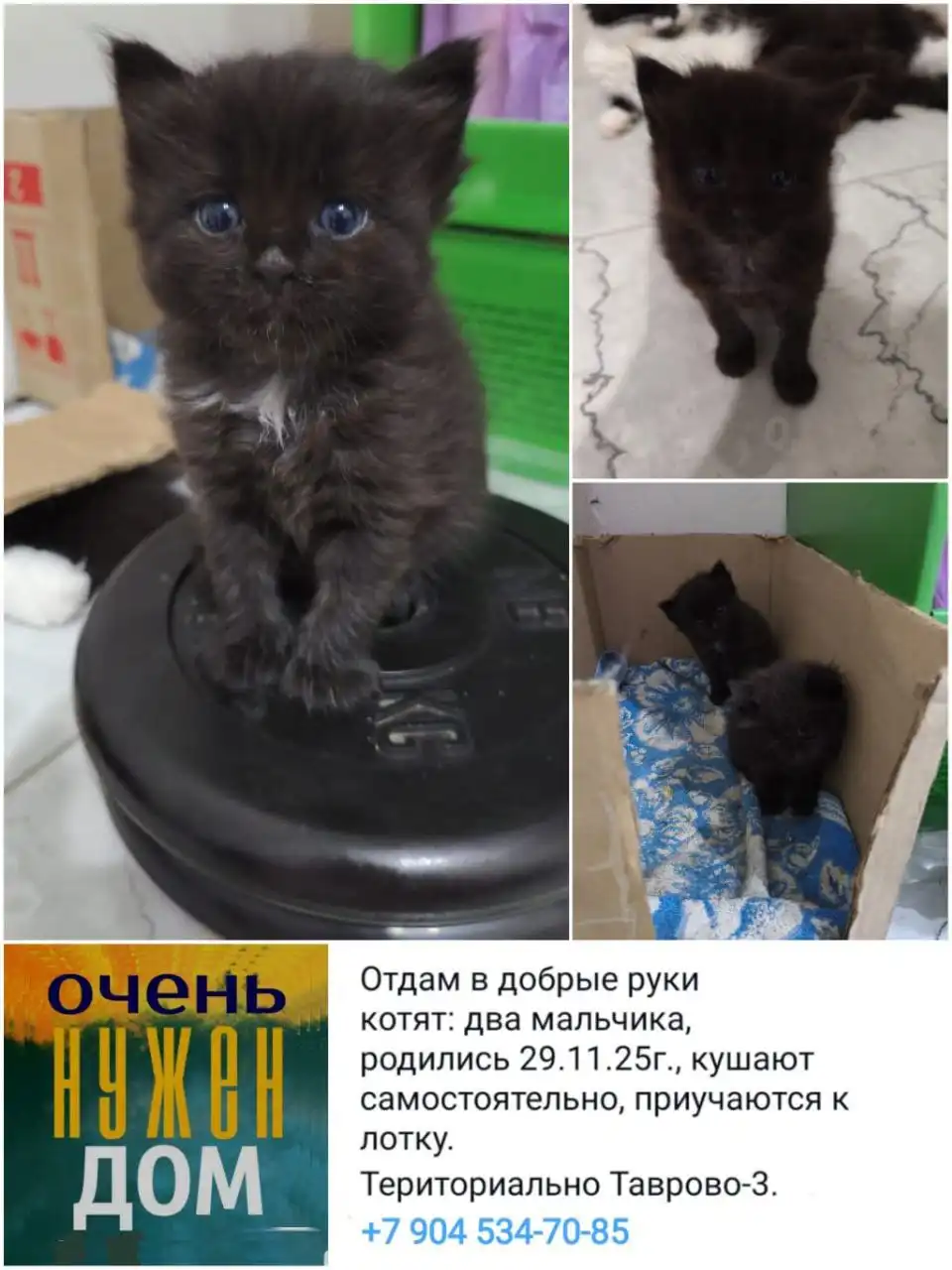 Продажа женской одежды и обуви в Белгороде