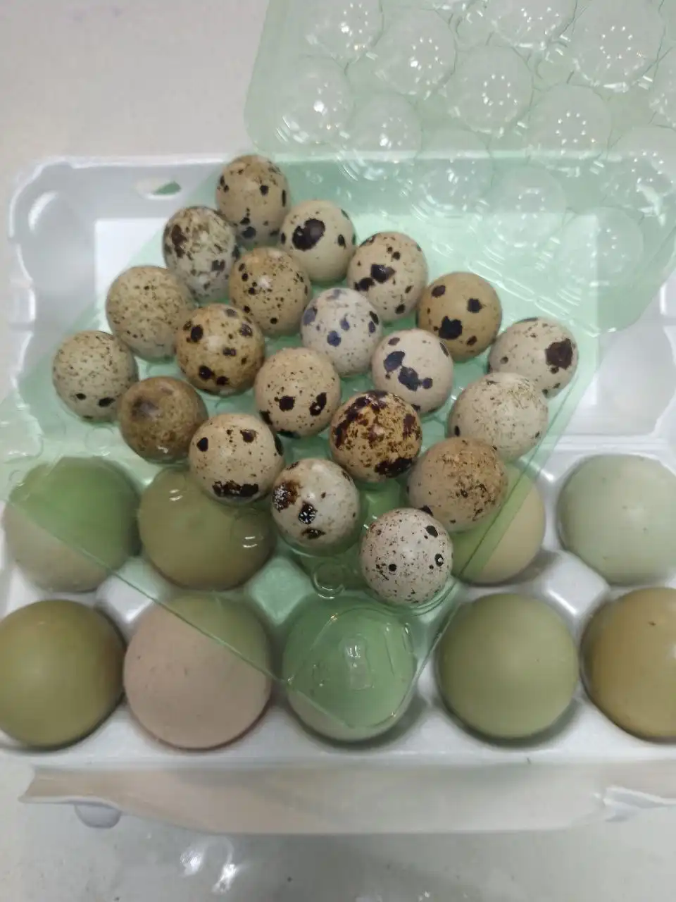 Продам лоток в Белгороде - Барахолка в Белгород