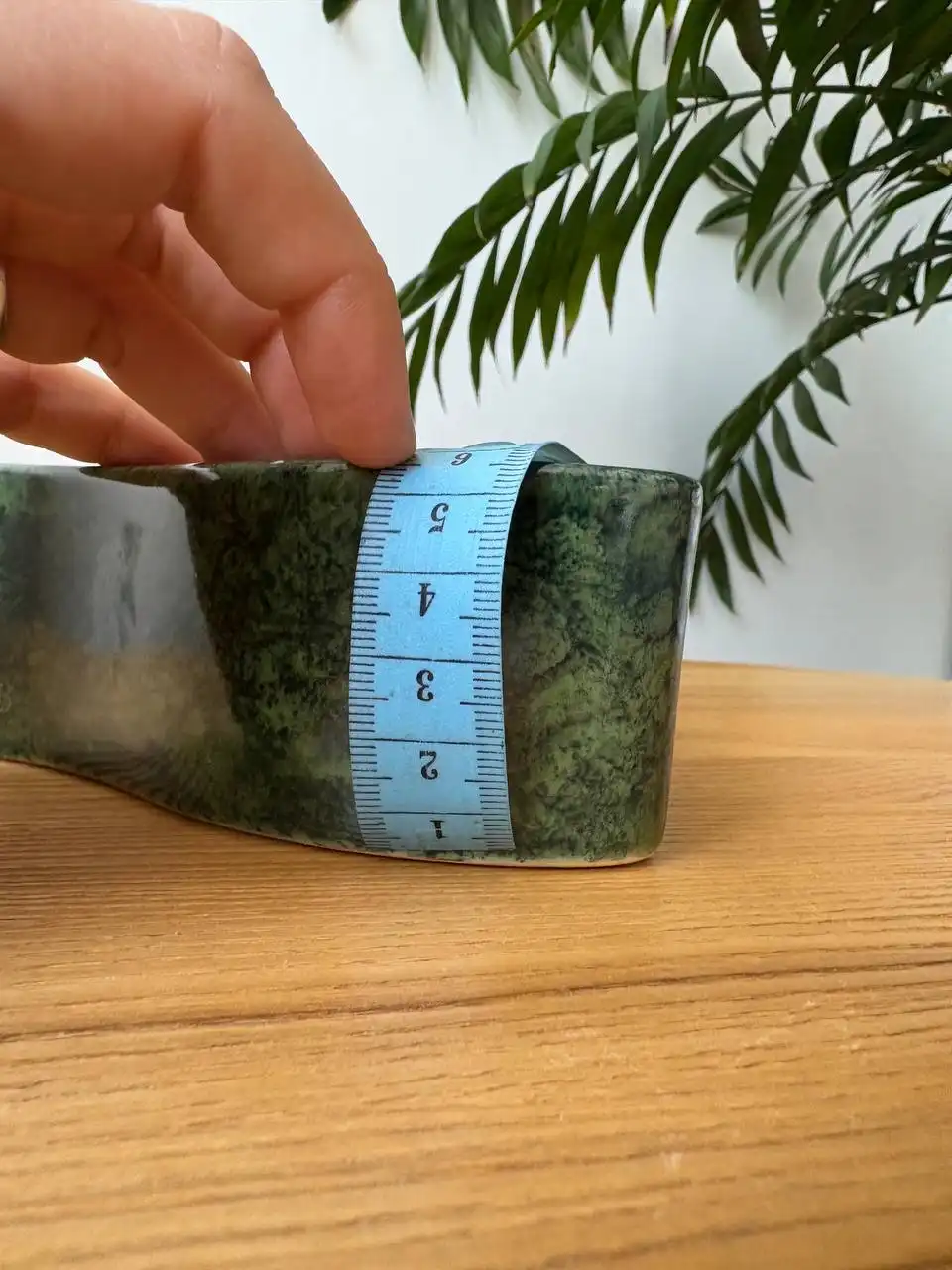 Кашпо для суккулентов и кактусов - Растения и цветы (Для дома и дачи) в Белгород