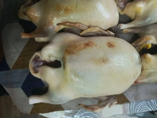 Продам домашнее мясо птицы: утята SK6 и бройлеры - Аквариумистика в Белгород