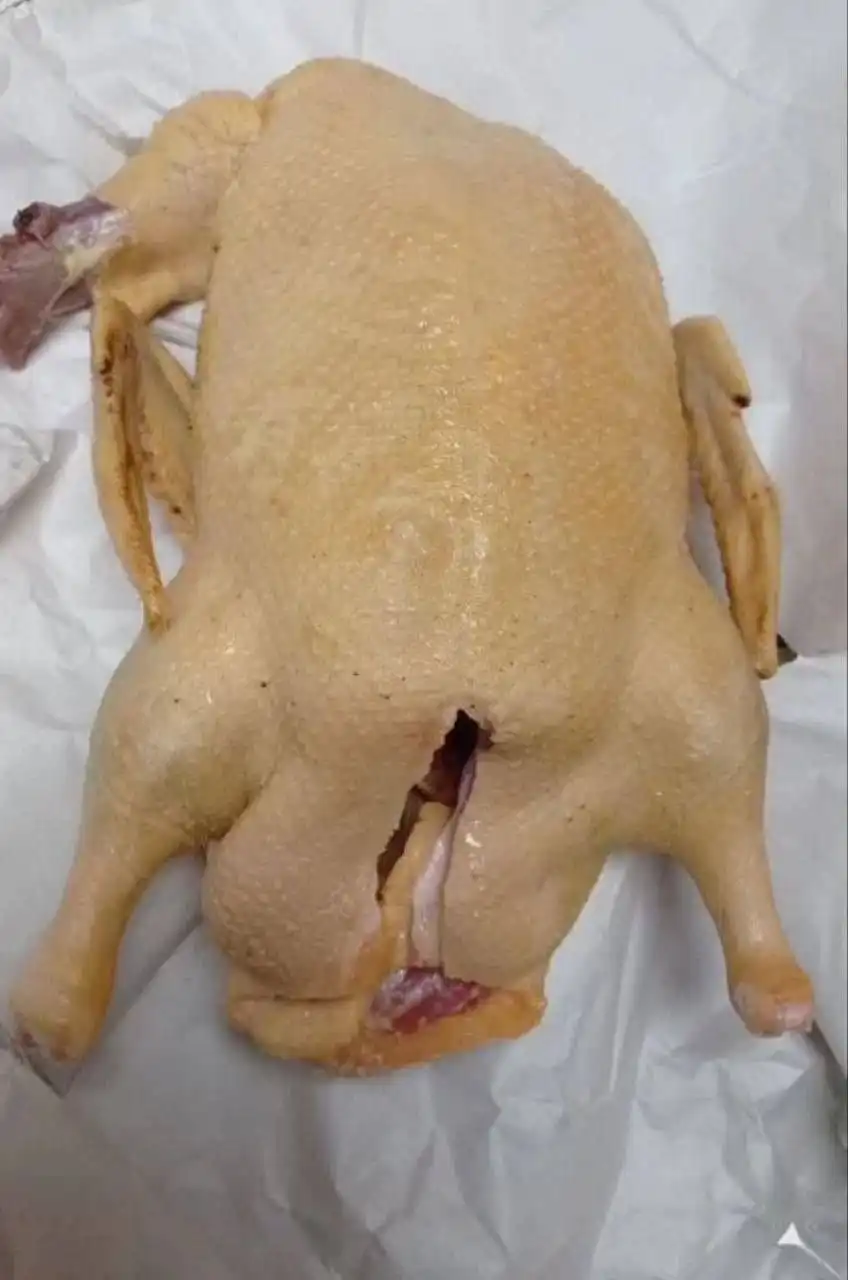 Продам домашнее мясо птицы: утята SK6 и бройлеры - Продукты питания (Барахолка) в Белгород