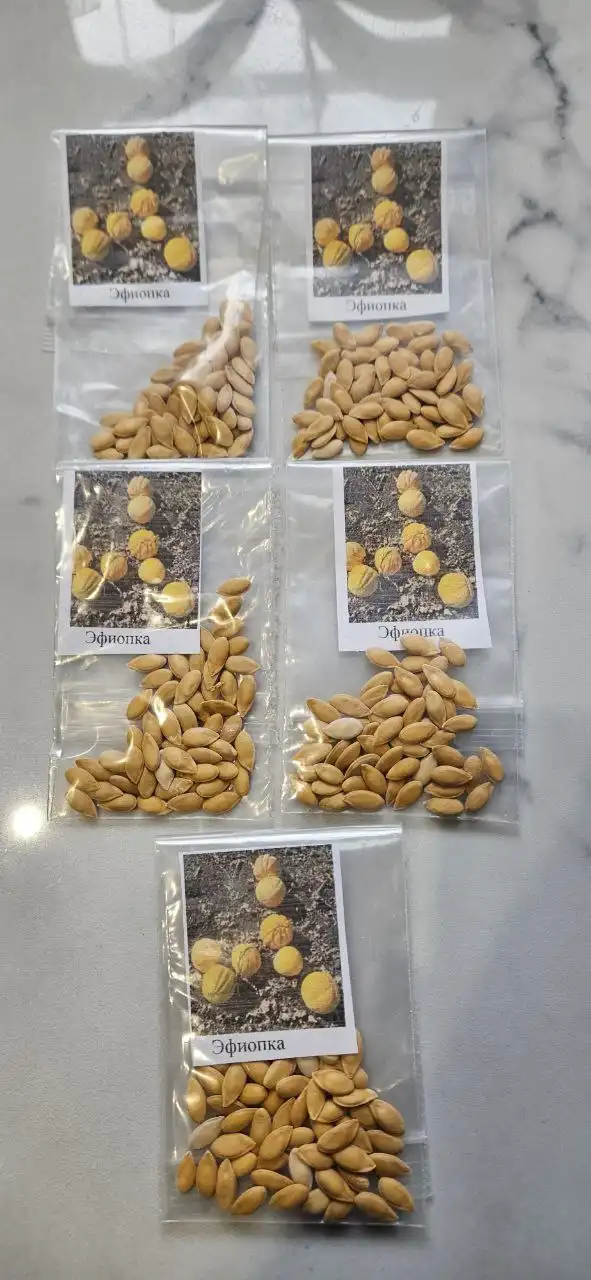 Продам семена дыни - Садоводство (Хобби и отдых) в Белгород